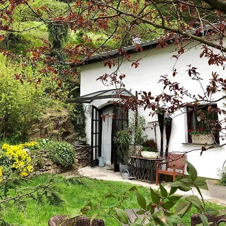 Brexhaeuschen - Urlaub Im Gruenen Villa Höhr-Grenzhausen Eksteriør billede